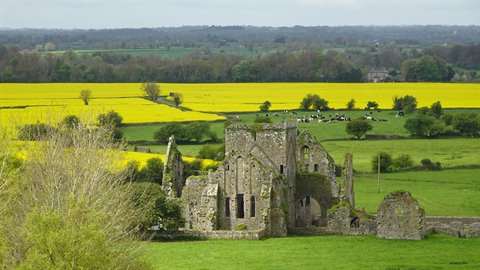 Stone abbey ruins among green farmland and bright yellow rapeseed fields