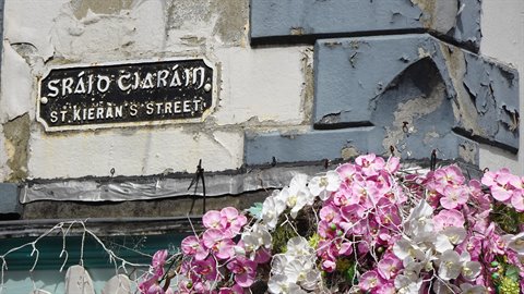 Bilingual street sign on peeling painted wall, pink and white flowers, daylight