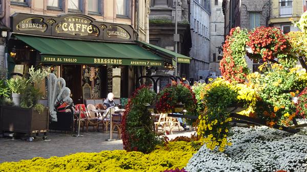 A café in bloom: a tea, a book, and time slowing down.