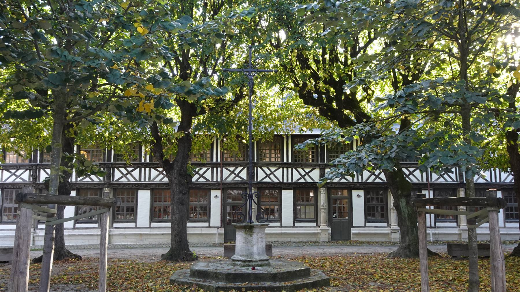 Sotto gli alberi secolari, il cortile antico custodisce storie di altri tempi.
