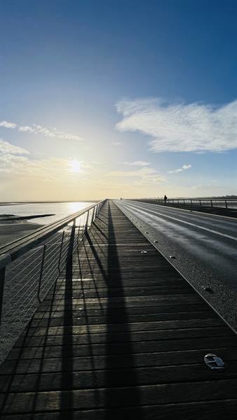 The bridge stretches towards the sun, and I walk slowly, happy.