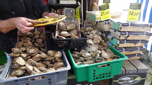 Fresh oyster stall with crates full and yellow price signs