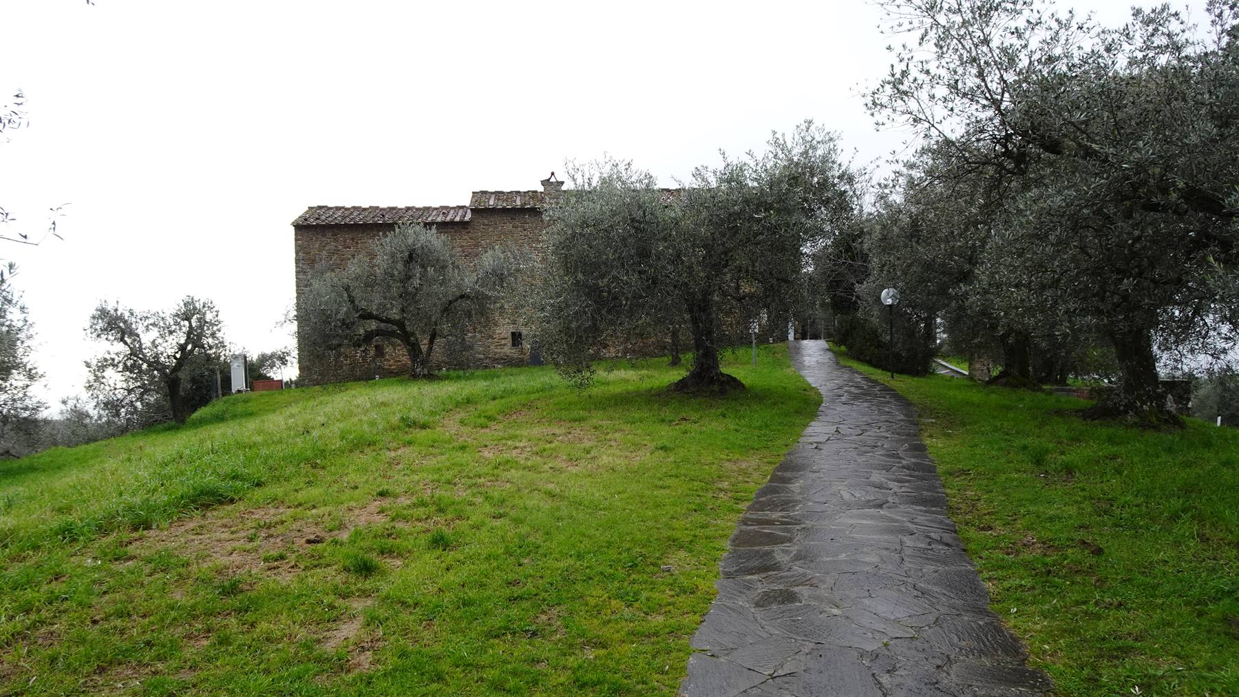 Anchiano - Casa Natale di Leonardo