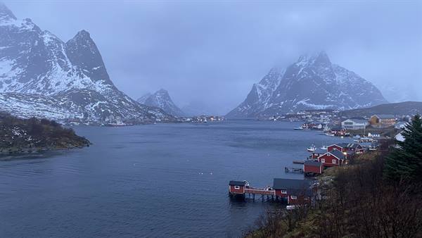 Reine