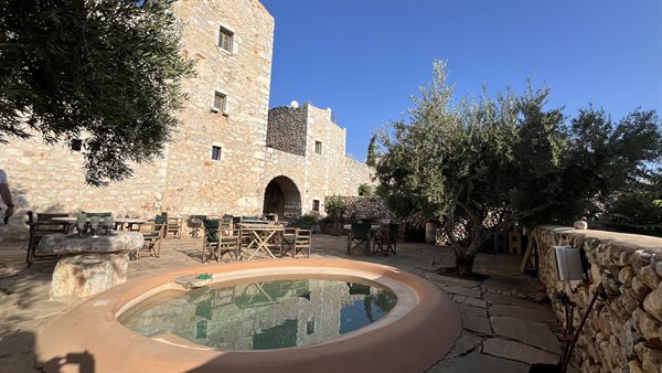 Golden afternoon in the stone courtyard, among olive trees and silence.