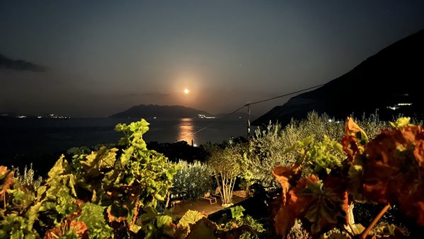 The moon dives into the sea, and we already dream of tomorrow.