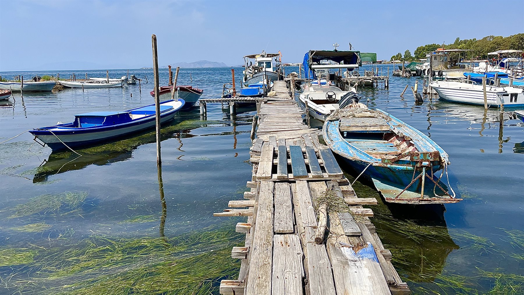 Tra barche e acque limpide, un molo di storie da raccontare.