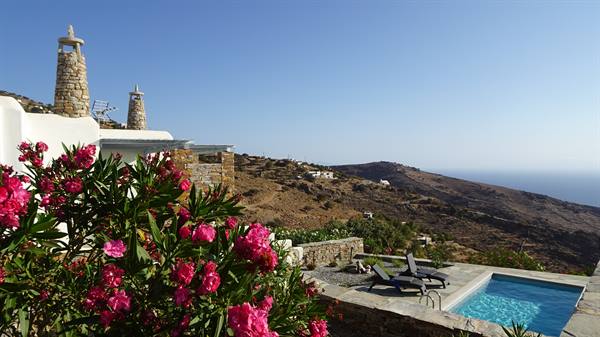 Oleanders in bloom, pool and sea: our corner of Greece.