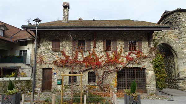 Stone house covered in red autumn ivy, Yvoire