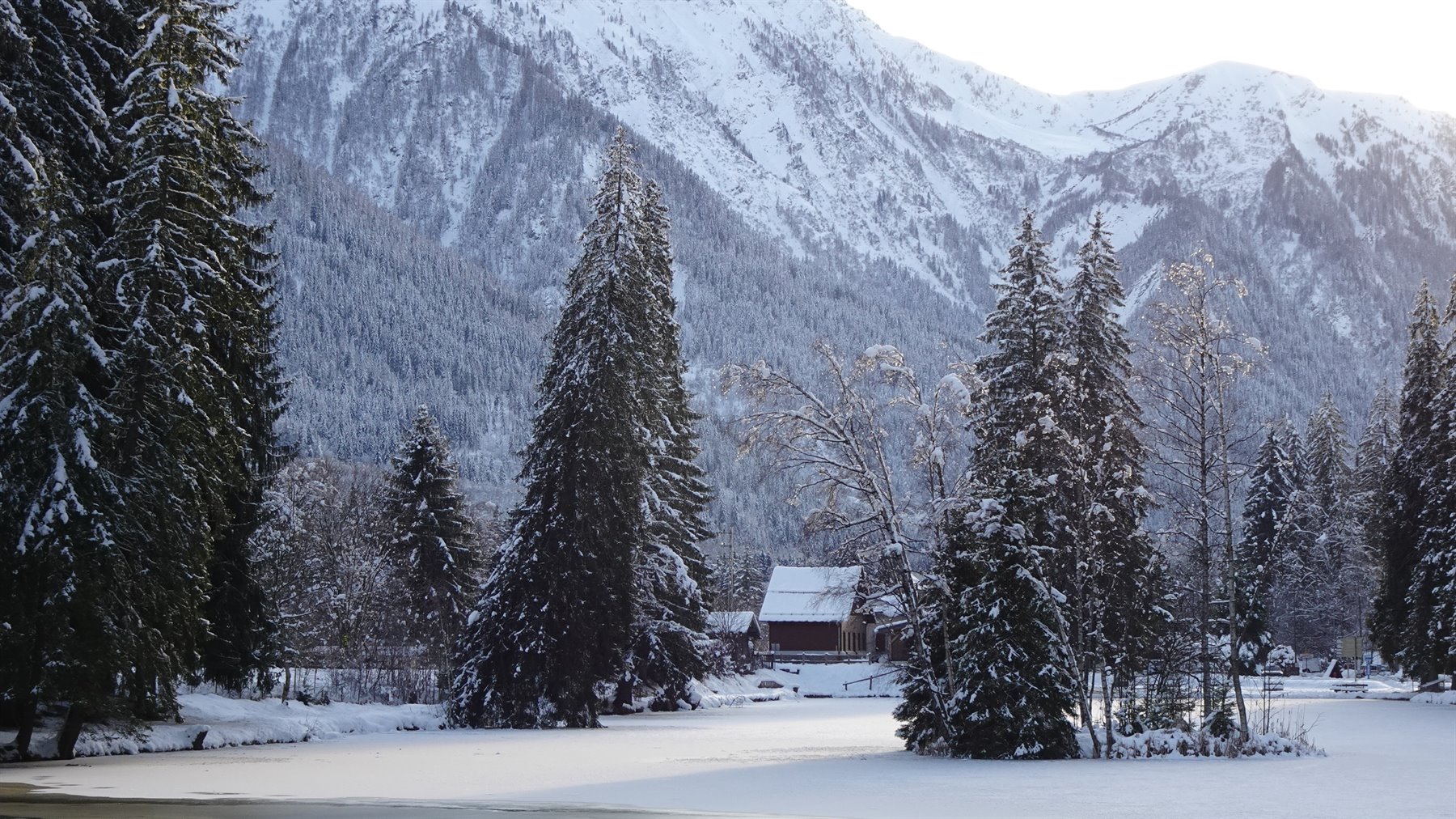 Chamonix d'inverno: abeti innevati, baita di legno e montagne illuminate dal sole
