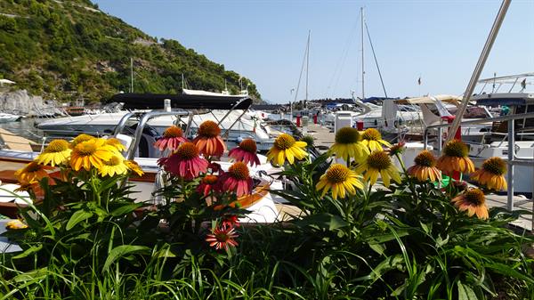 Maratea