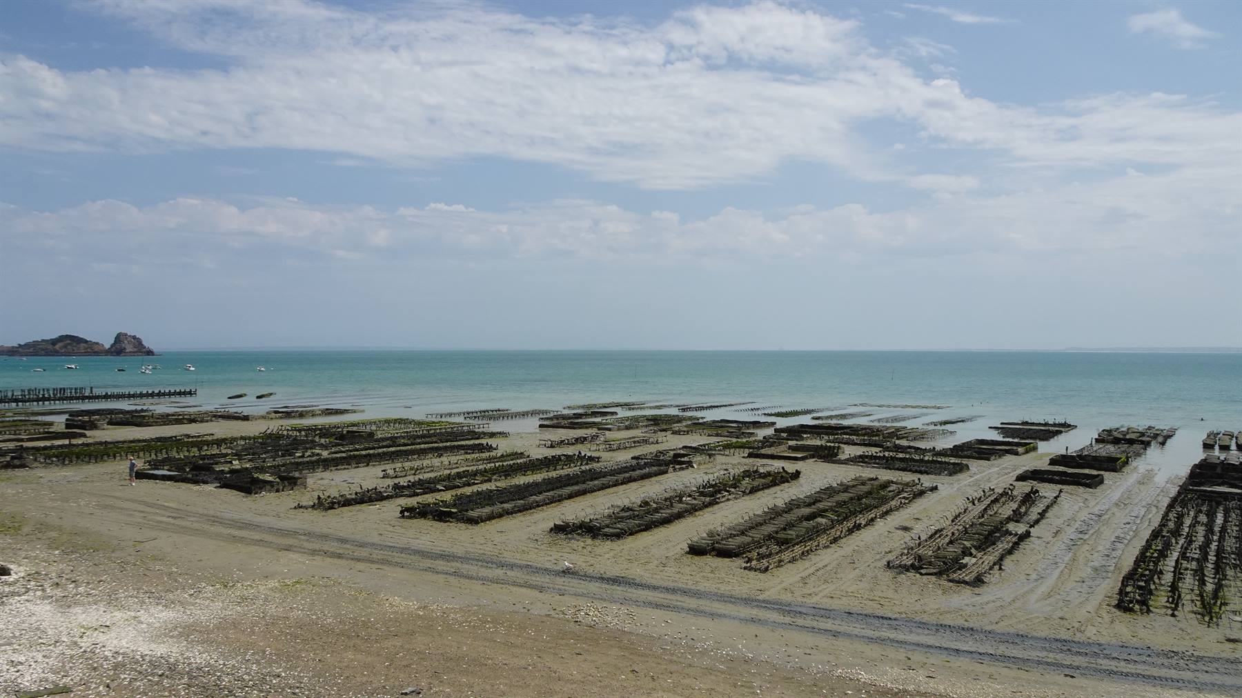 Cancale: letti per ostriche sulla spiaggia a bassa marea, mare turchese