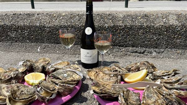 Fresh oysters and white wine on pink plates, Cancale