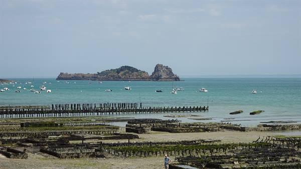 Cancale: wooden oyster beds at low tide, boats and green islet