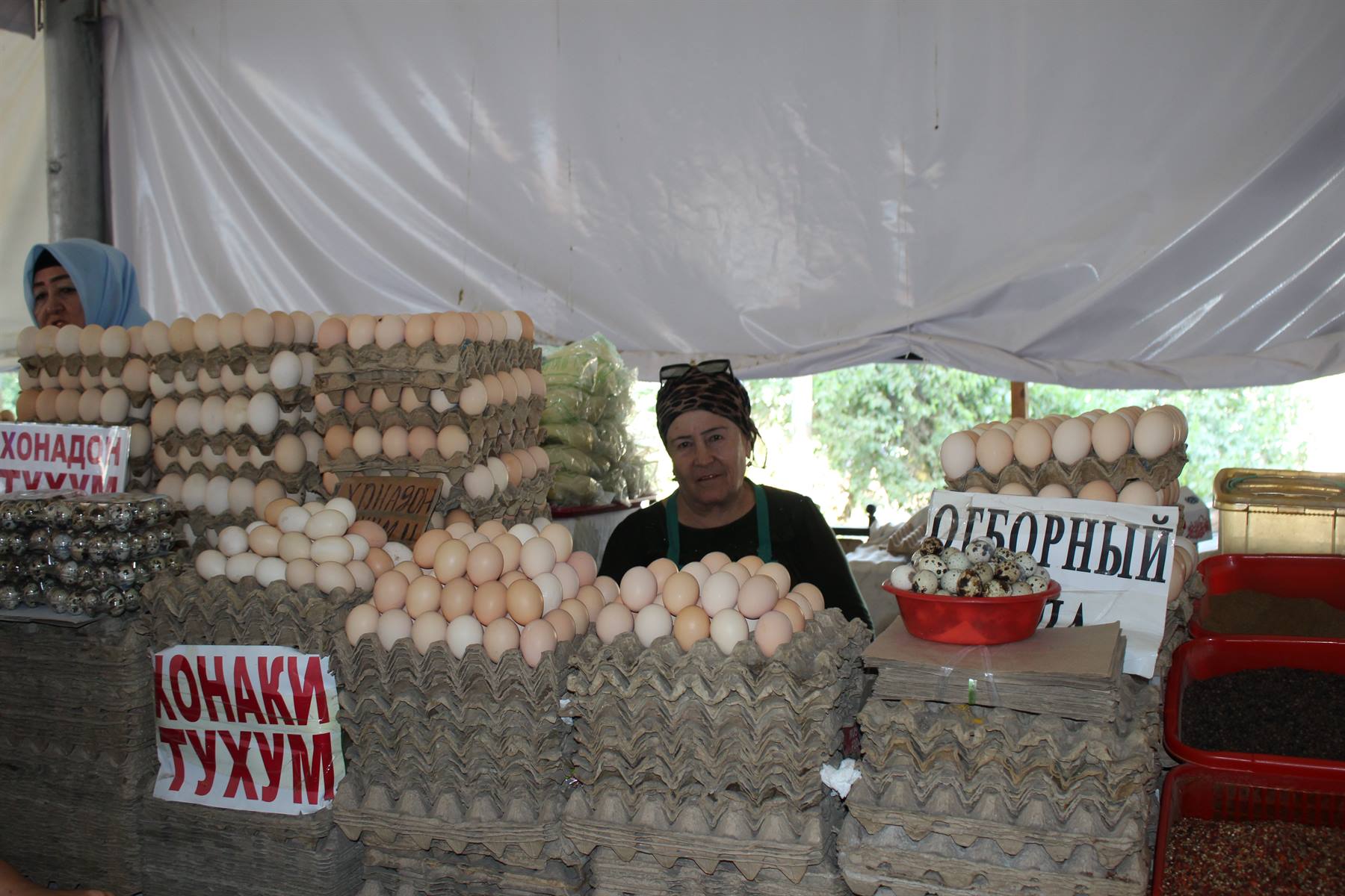 Venditrice di uova al mercato di Tashkent, sotto una tenda bianca