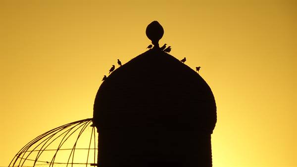 Uccelli sulla cupola di una madrasa di Samarcanda al tramonto
