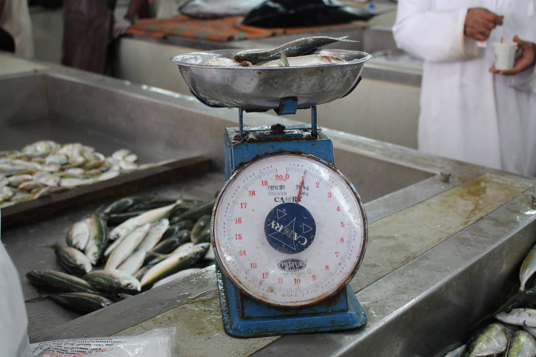 Mutrah - Fish Market