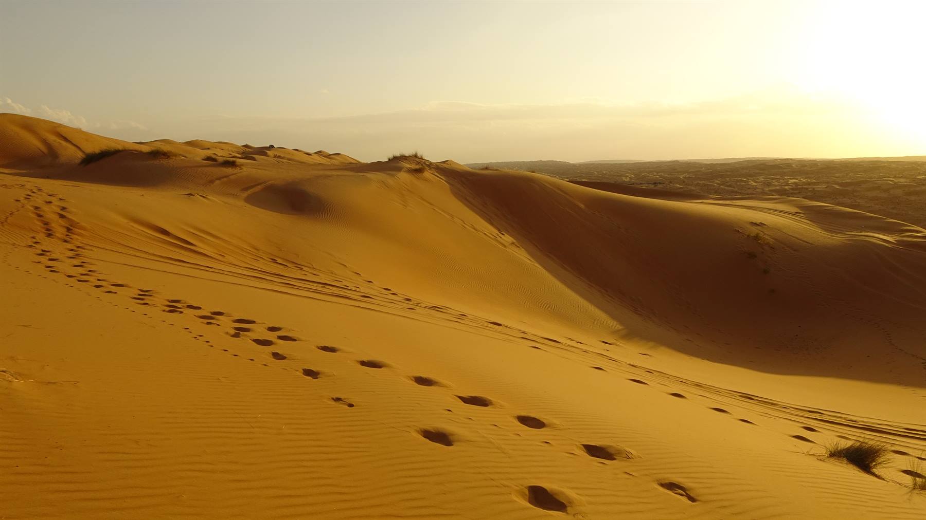 Wahiba Sand Desert