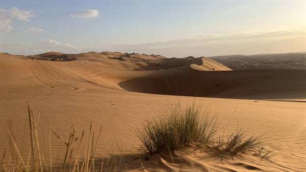 Wahiba Sand Desert