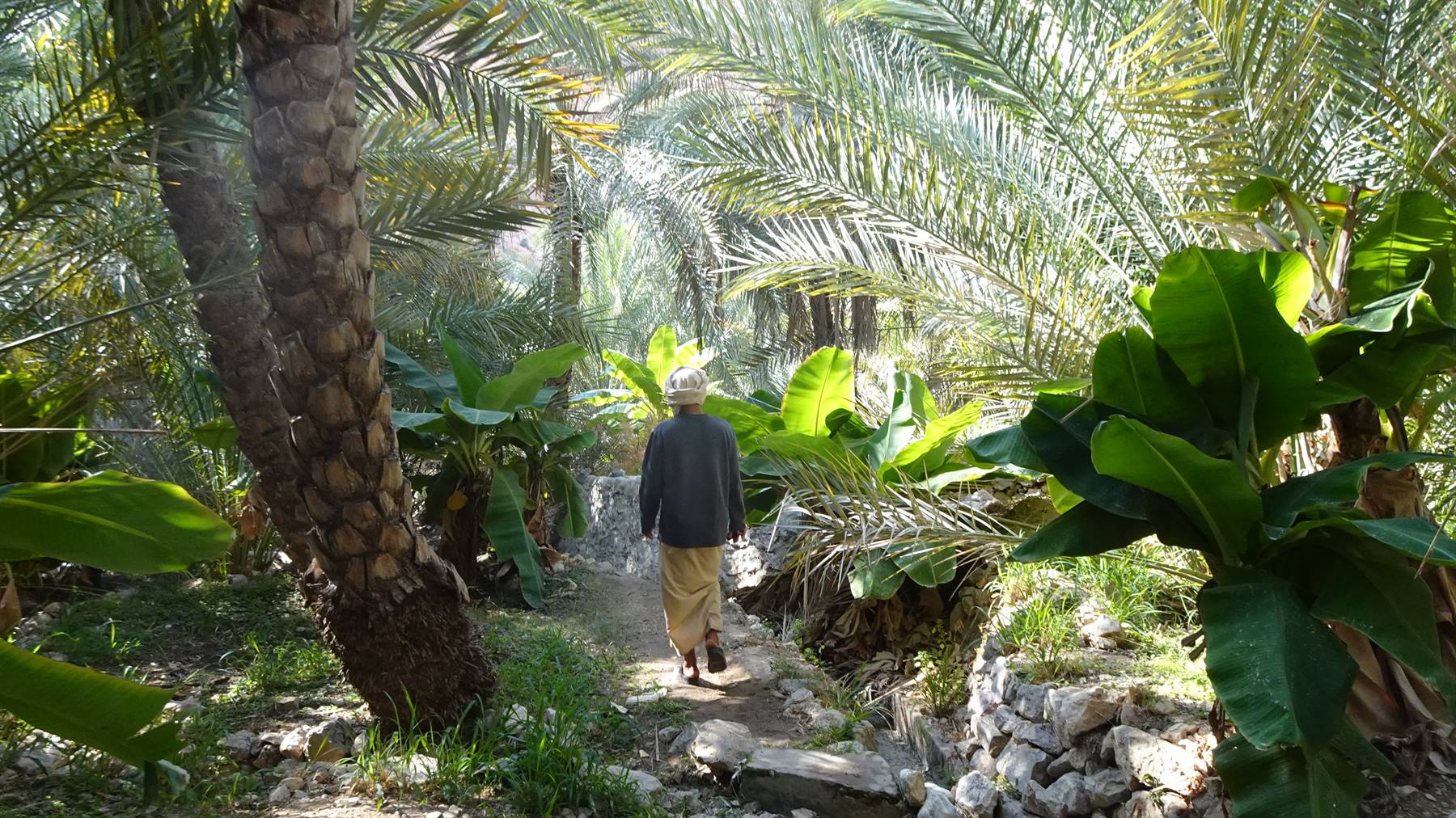 Wadi Bimah
