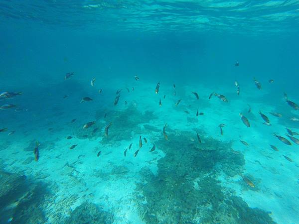 Daymaniyat Islands
