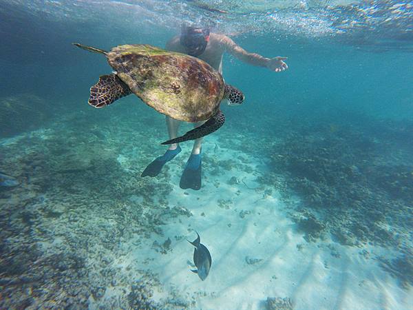 Daymaniyat Islands