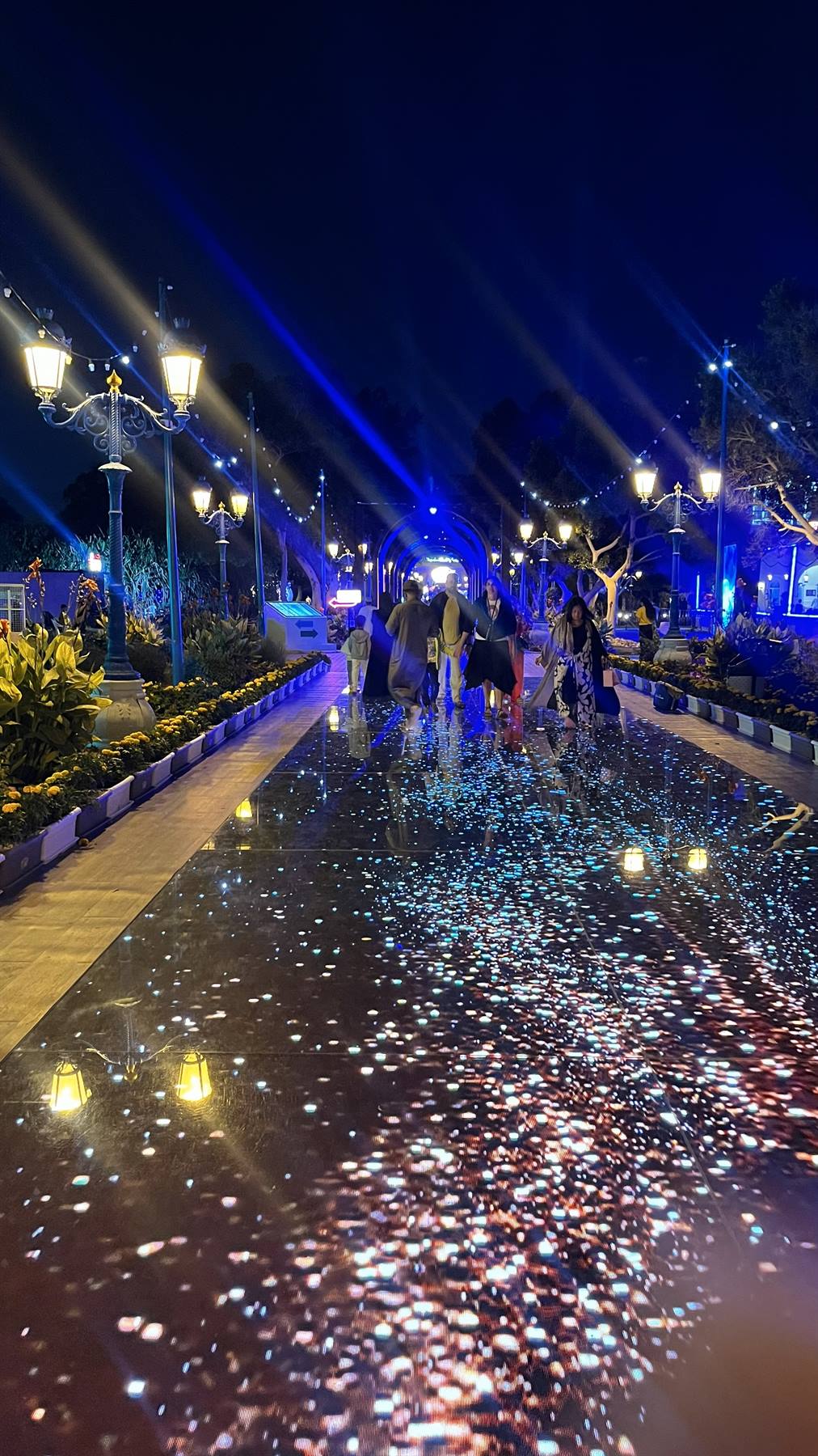 Muscat Festival