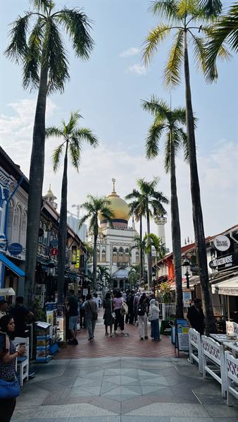 Walking among the palms towards the golden dome of Kampong Glam.