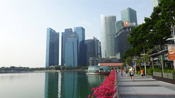 A walk along the bay, skyscrapers and flowers: Singapore in the heart.