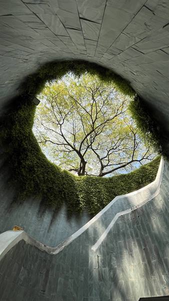 Granite spiral stair leading up to a tree canopy, Fort Canning