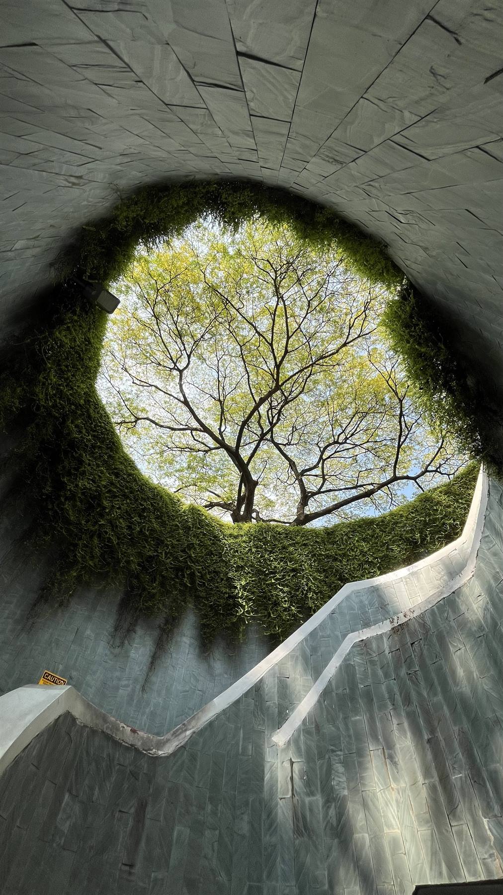 Scala a chiocciola di granito verso una chioma di albero, Fort Canning