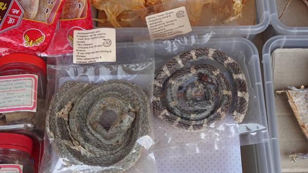 Dried snakes at the market: traditional medicine you don't expect.