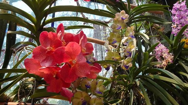 Garden By The Bay - Floral Fantasy