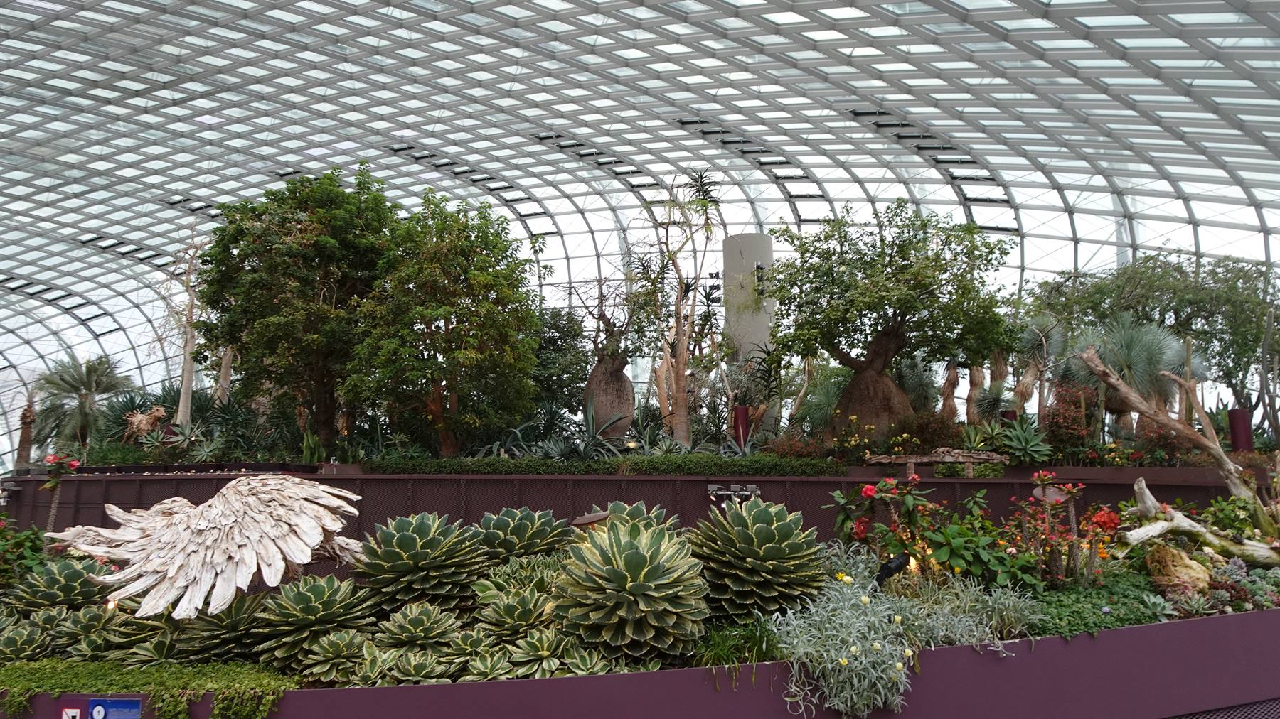 Garden By The Bay - Flower Dome