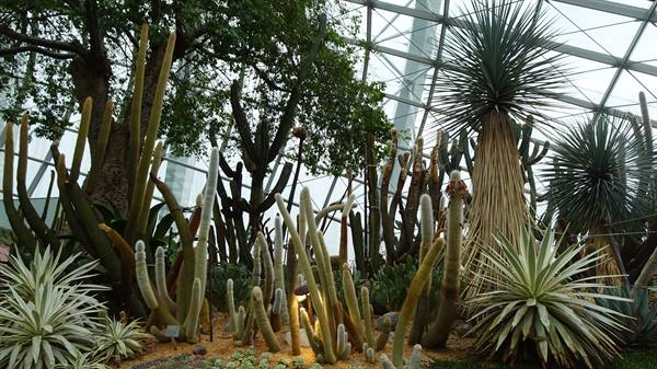 Garden By The Bay - Flower Dome