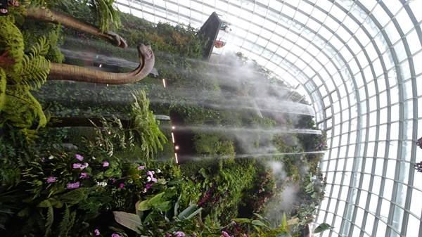 Garden By The Bay-Cloud Forest