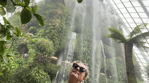 Garden By The Bay-Cloud Forest