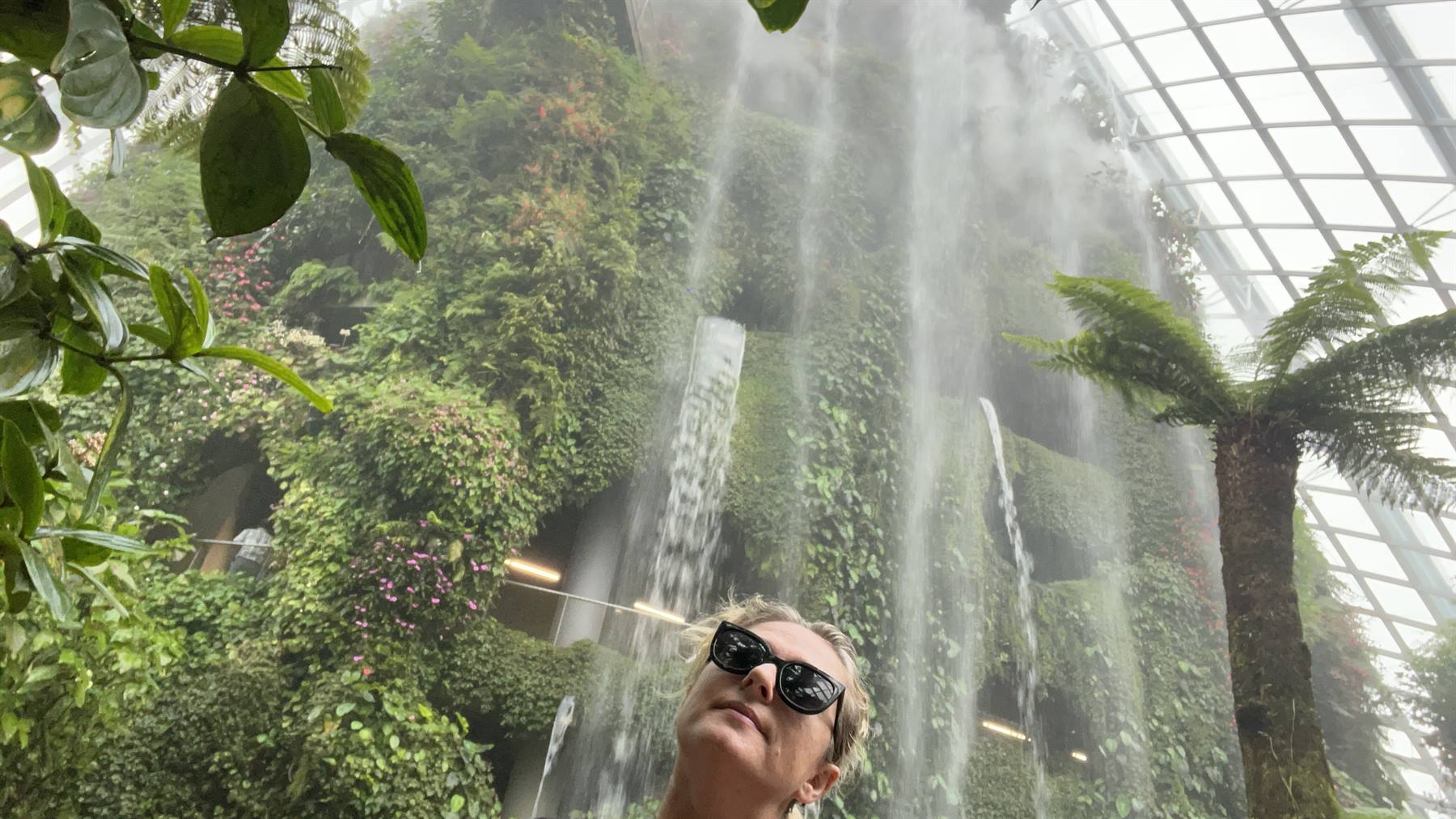 Garden By The Bay-Cloud Forest