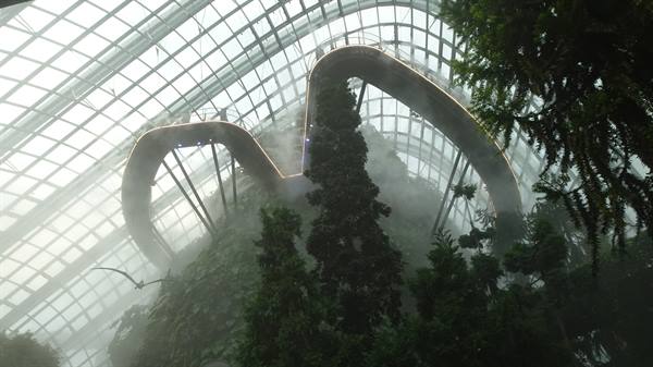 Garden By The Bay-Cloud Forest