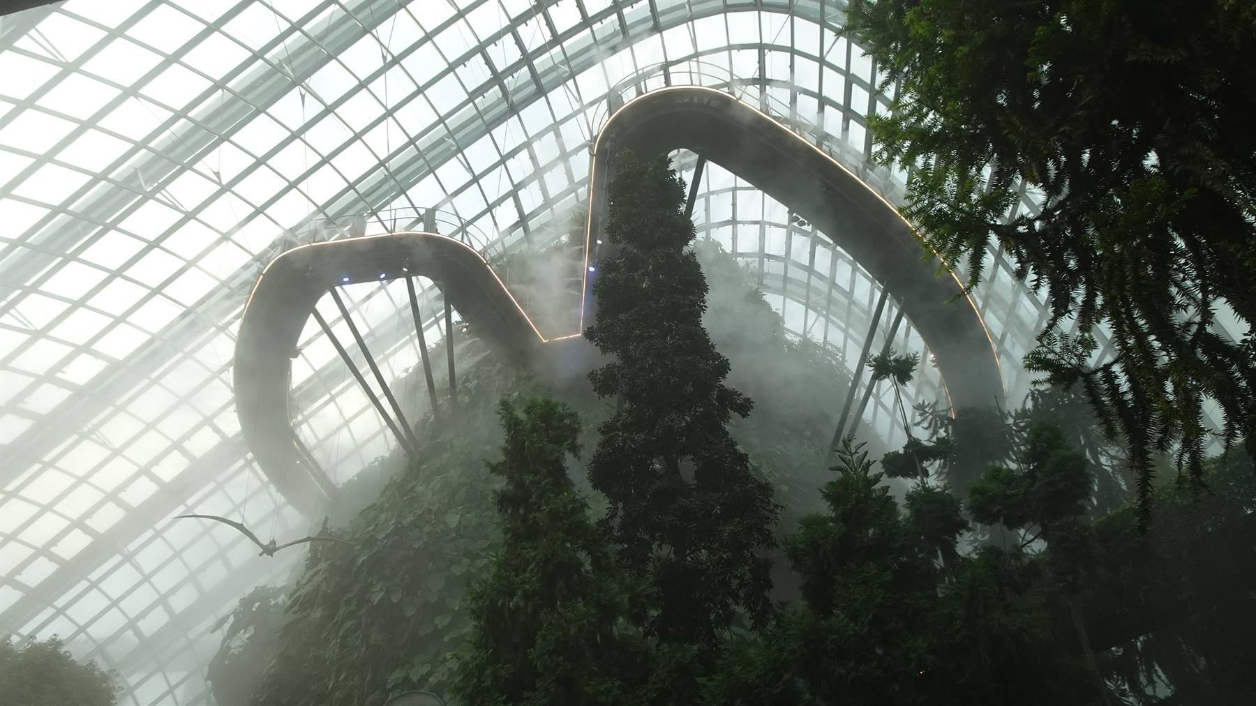 Garden By The Bay-Cloud Forest