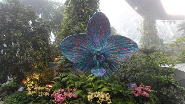 Garden By The Bay-Cloud Forest