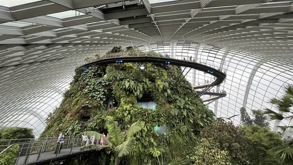 Garden By The Bay-Cloud Forest