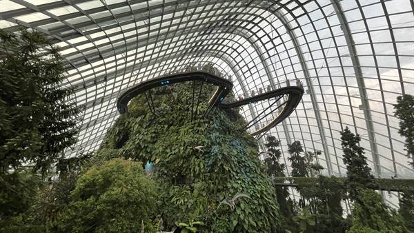 Garden By The Bay-Cloud Forest