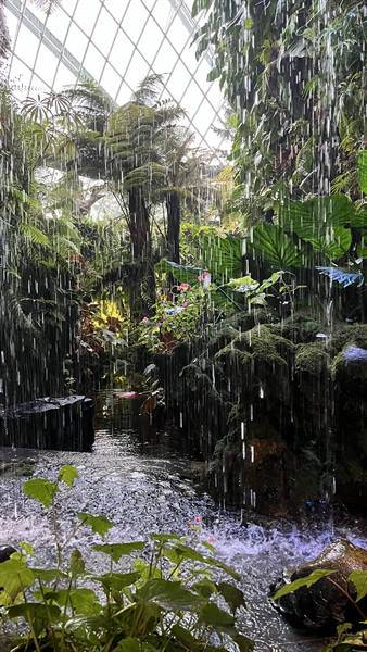 Garden By The Bay-Cloud Forest