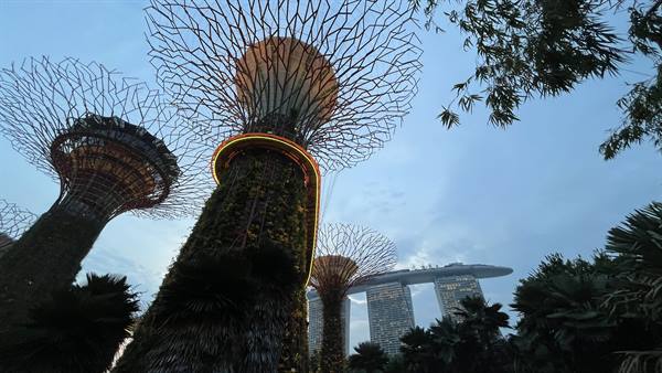 Garden By The Bay