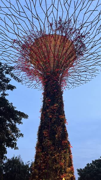 Garden By The Bay