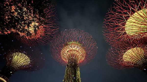 Garden By The Bay