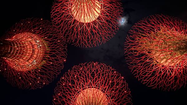 Garden By The Bay