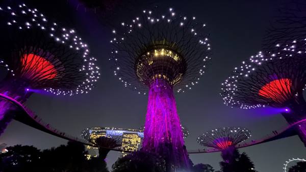 Garden By The Bay