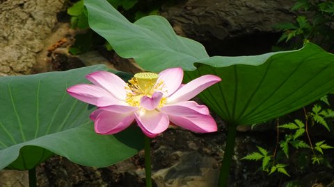 Beijing-Summer Palace